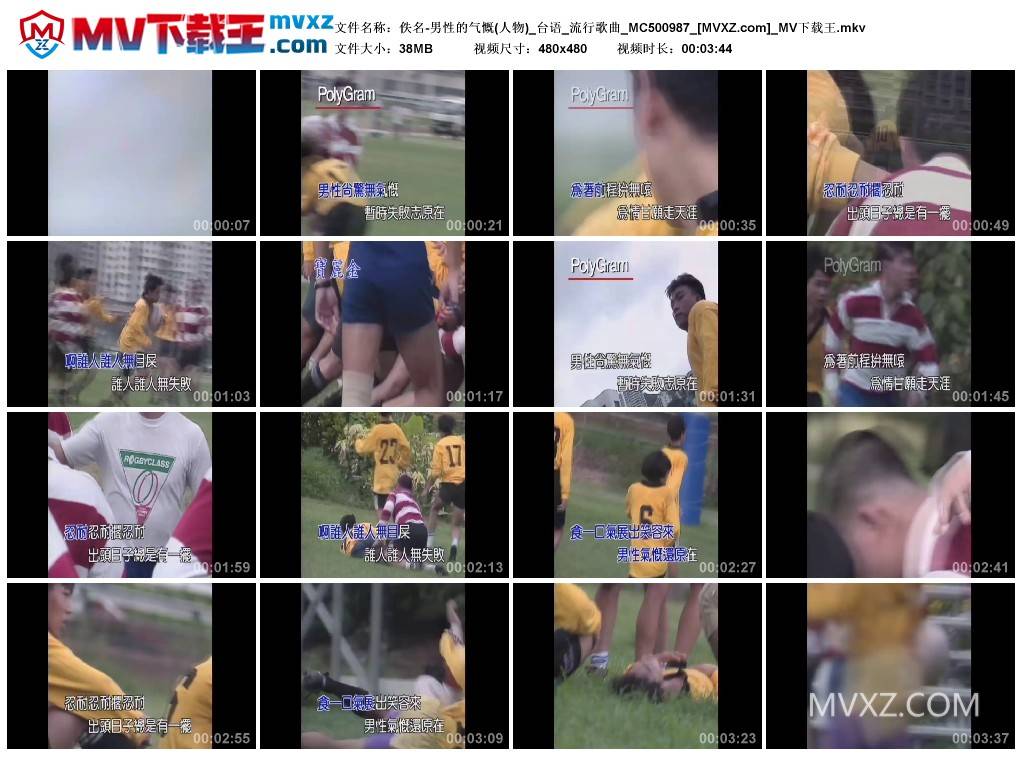 佚名-男性的气慨(人物)_台语_流行歌曲_MC500987